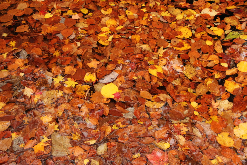 今日も浸ってます