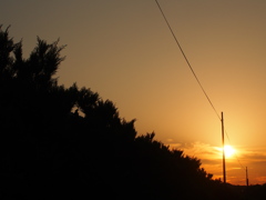 夕陽