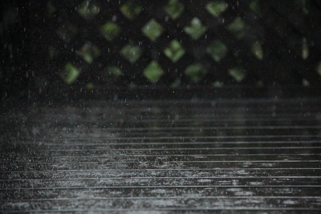 梅雨のスコール