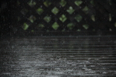 梅雨のスコール
