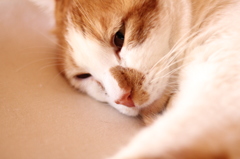 秋はちょっと憂鬱