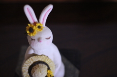 夏のおめかし *