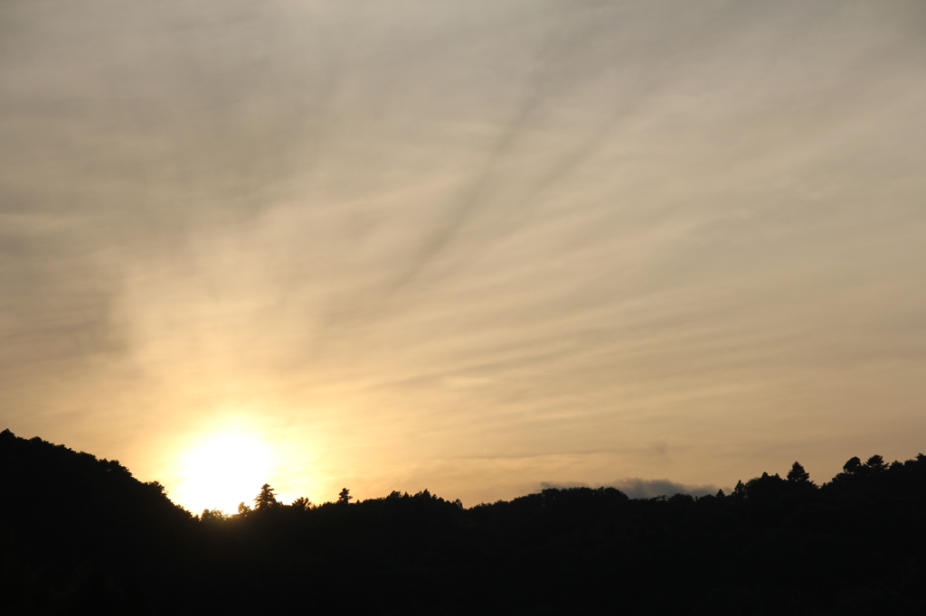 夕陽