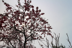 140413埼玉