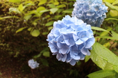 130714栃木