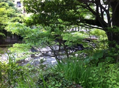 130527栃木