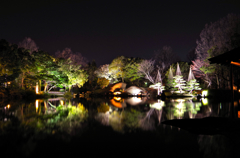 養浩館庭園ライトアップ春