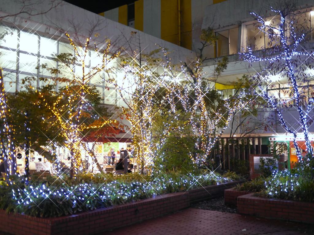 P1020047