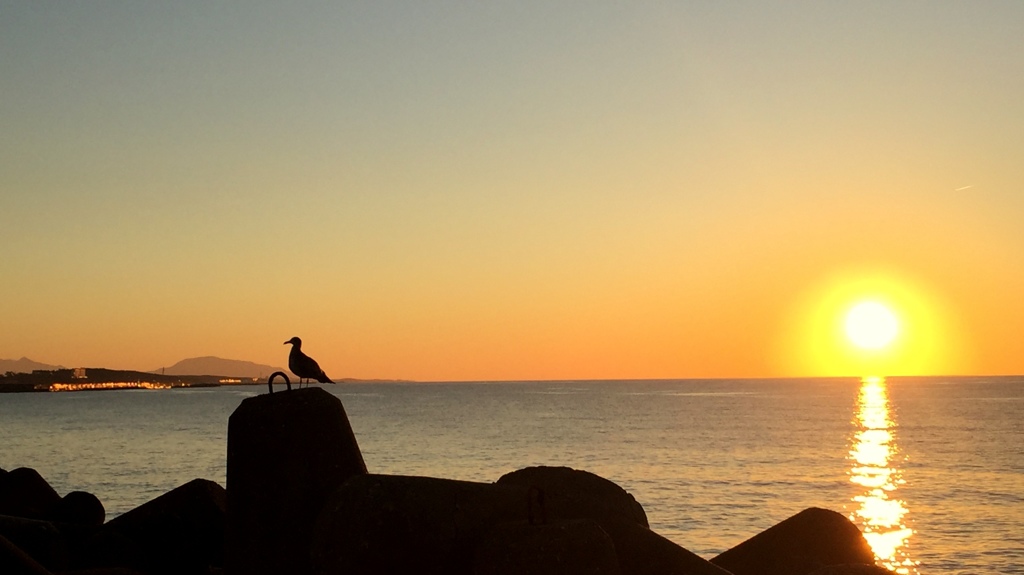 ♪秋の夕日に♪