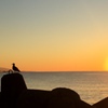 ♪秋の夕日に♪