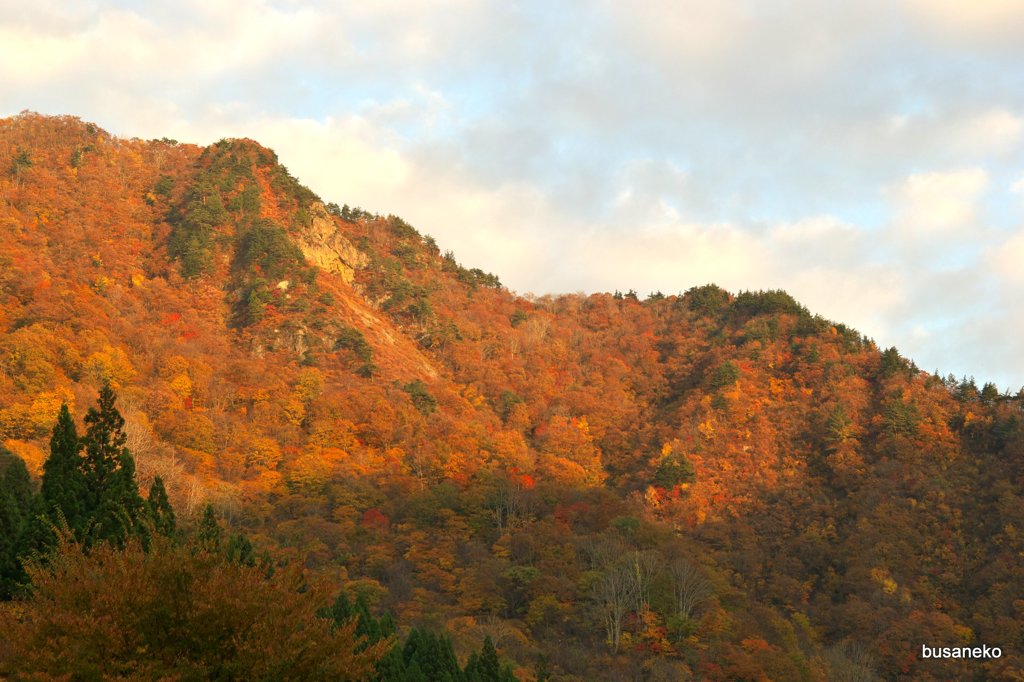錦秋の早出川ダム