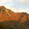 錦秋の早出川ダム