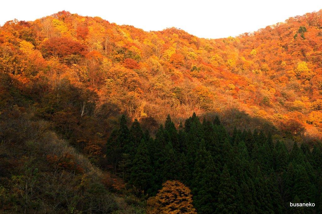 山を染める夕日