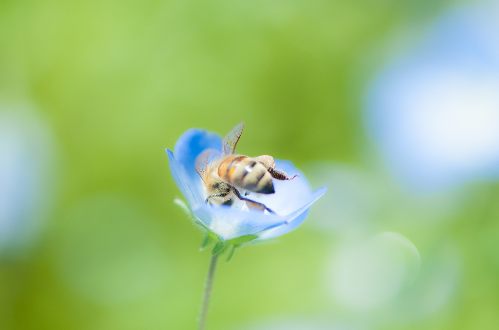 頭隠して。。。