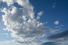 白と青
