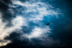 空に舞う