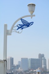 空を目指して
