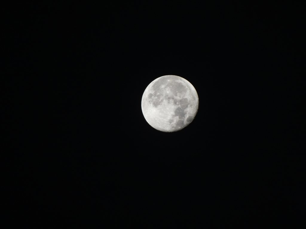 DSCF1090