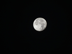 DSCF1090