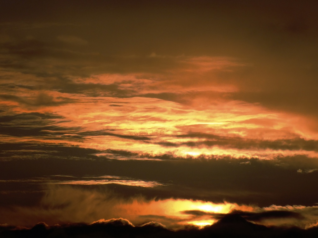 DSCF0688