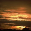 DSCF0688