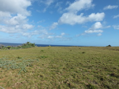 DSCF1025