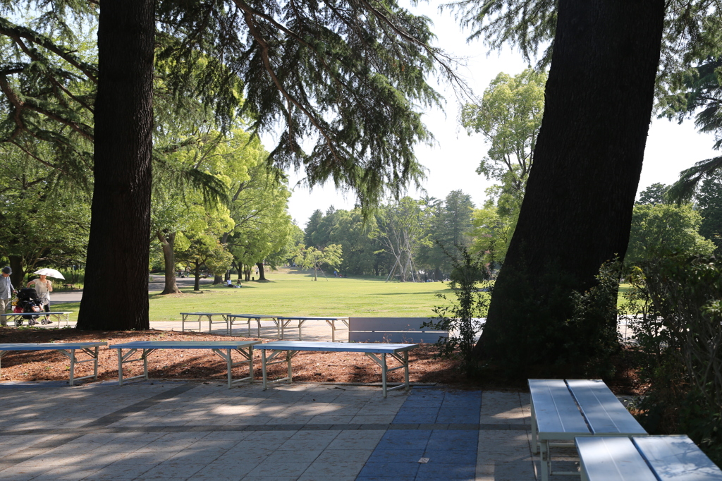 昭和記念公園
