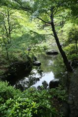 雨上がり