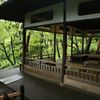 雨上がりの殿ヶ谷戸庭園