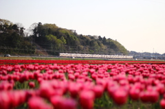 花路をはしる