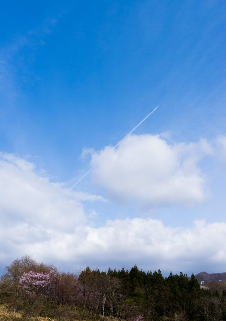  空高く、雲よりも高く