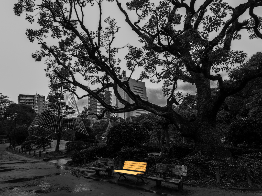 小雨降る公園