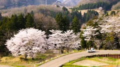 のどかな風景
