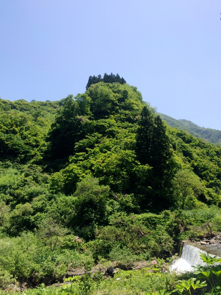 緑豊かな小山