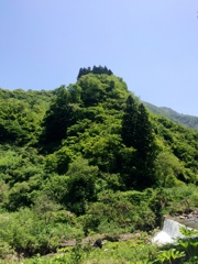 緑豊かな小山