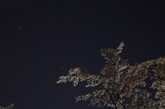 何度目かの夜