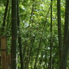 たけ