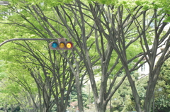 注意して進め