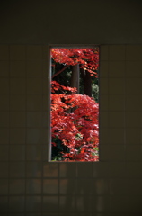 トイレの窓？