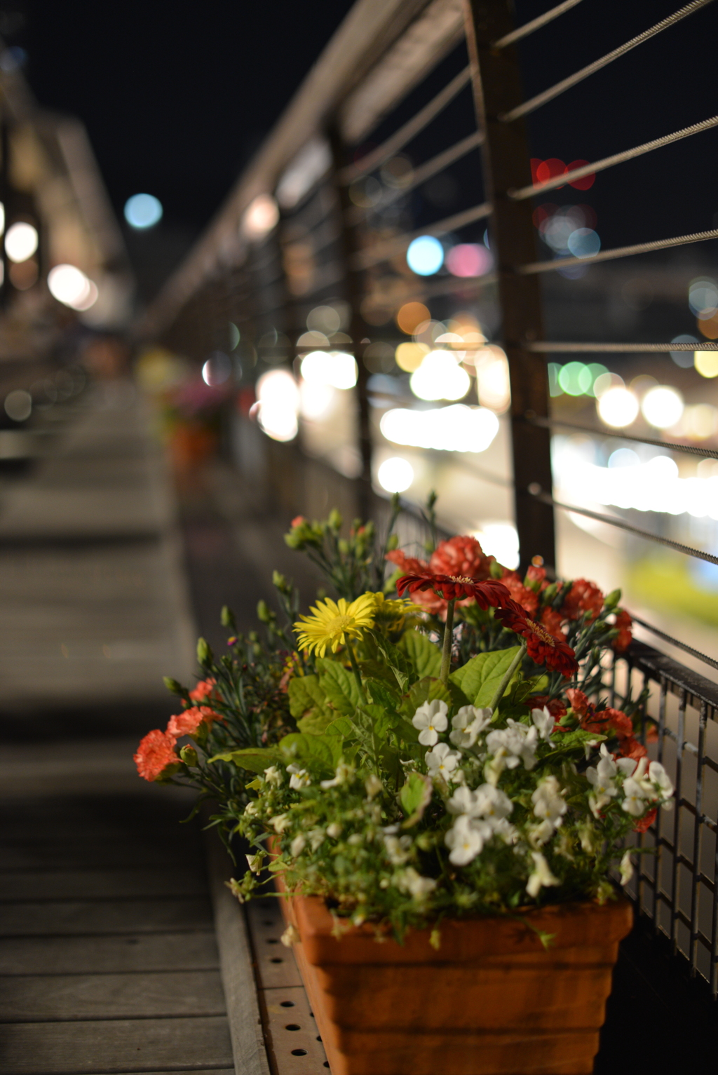 夜の花