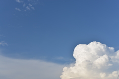 夏の空