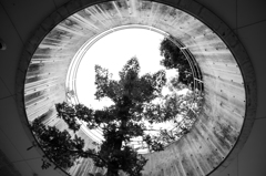 空へ向かって真っ直ぐと
