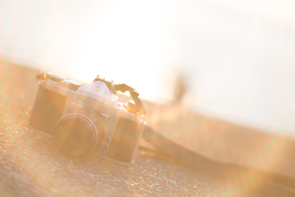 フィルムカメラ