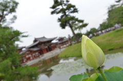 平等院