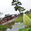 平等院