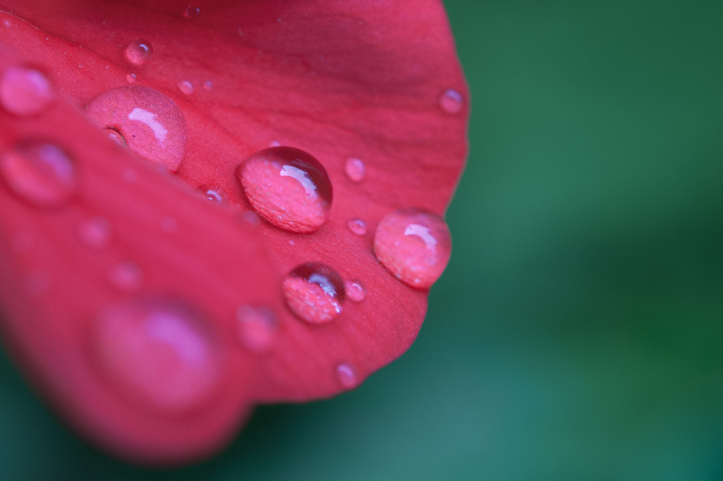 雨上がり