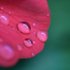 雨上がり