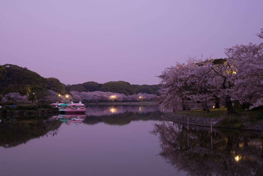 夜の公園