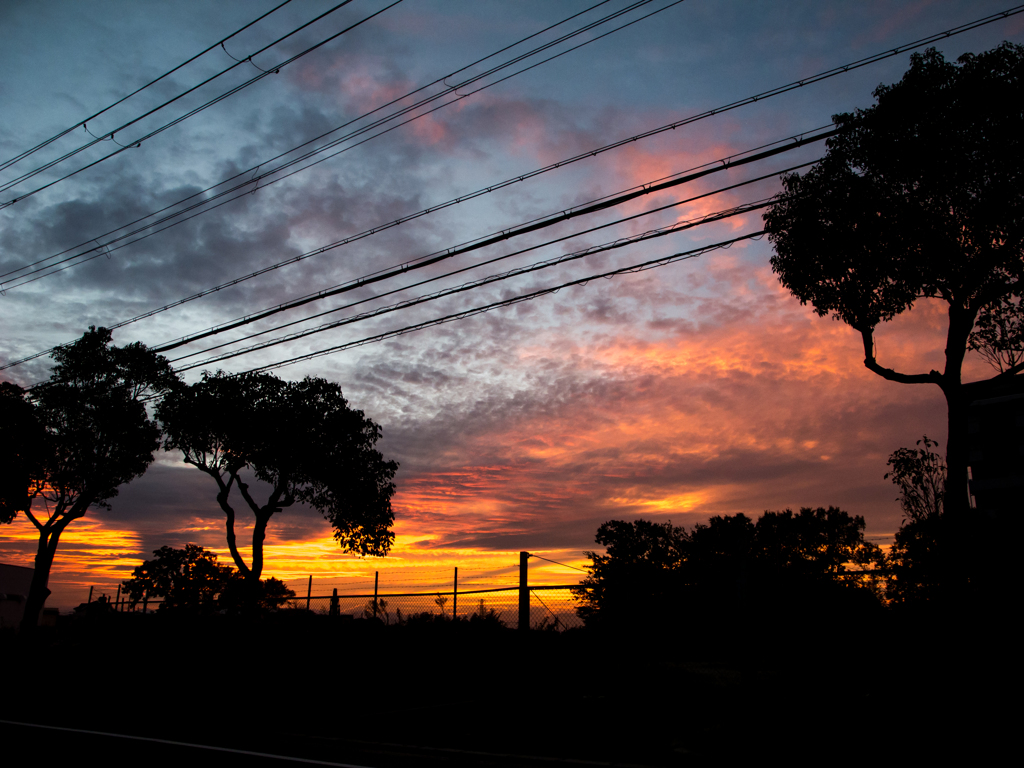 夕景