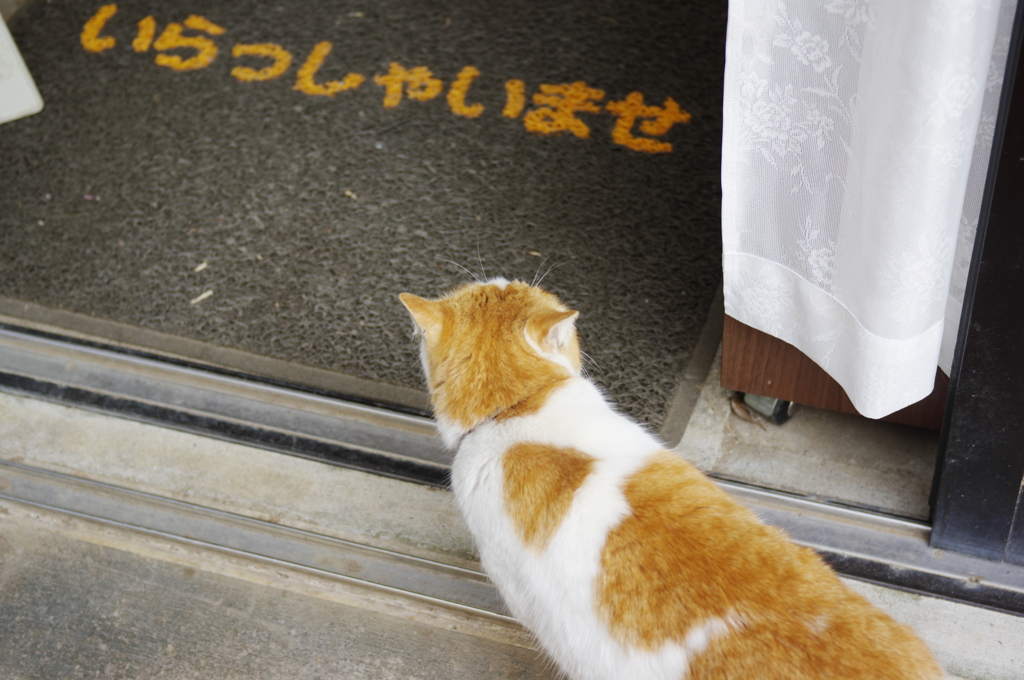 いらっしゃいませ